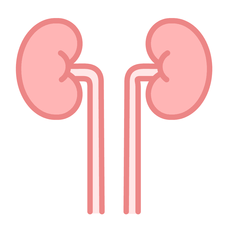 慢性腎不全発症リスク